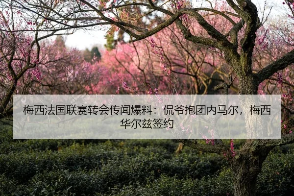 梅西法国联赛转会传闻爆料：侃爷抱团内马尔，梅西华尔兹签约