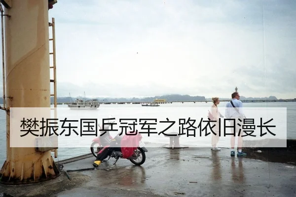 樊振东国乒冠军之路依旧漫长
